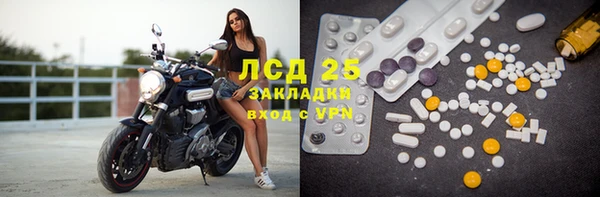 стаф Богородицк