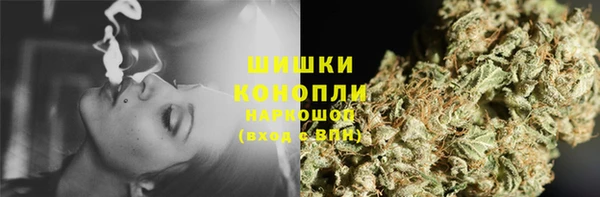 стаф Богородицк