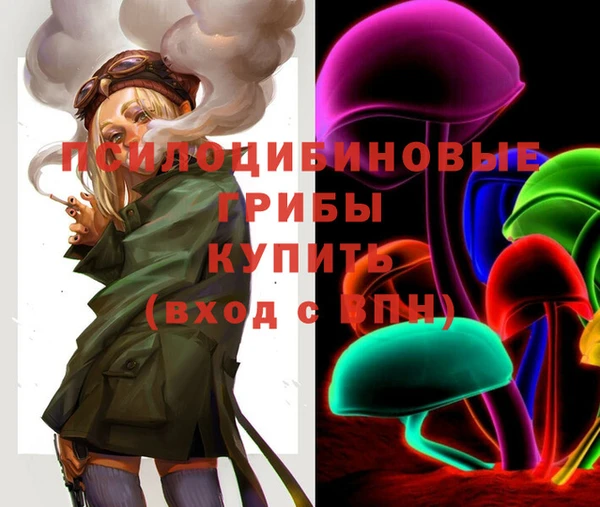 стаф Богородицк
