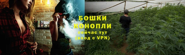 гашик Богородск